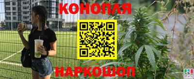 стафф Бугуруслан