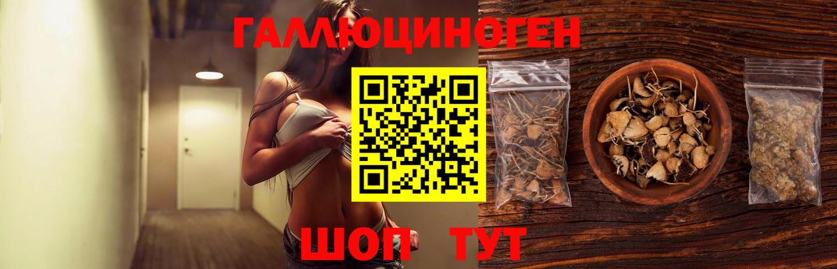 Славгород  закладки  Вход с VPN  Галлюциногенные грибы Cubensis  Галлюциногенные грибы мицелий 